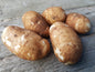 Pomme de terre russet (5 lbs)