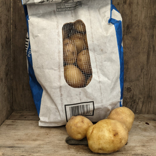 Pomme de terre grelot blanche (5lb)