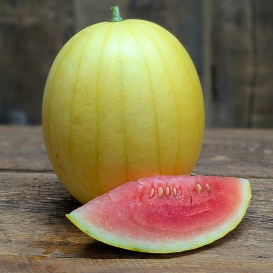 Melon d'eau rose - Faerie