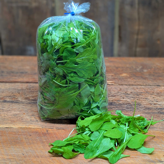 Roquette
