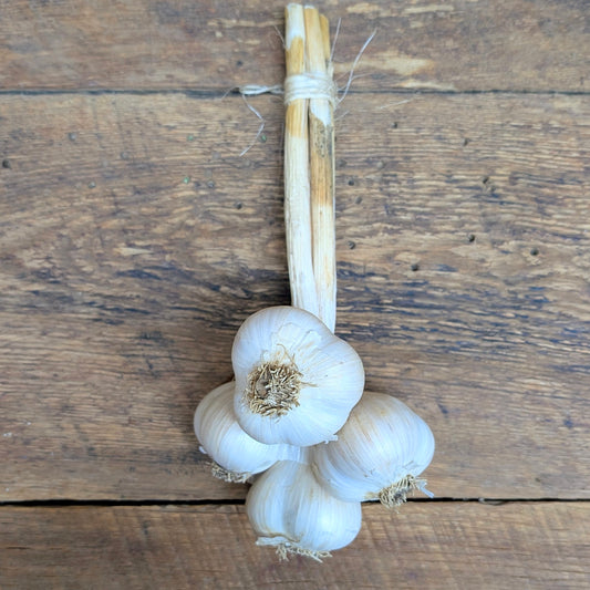 Ail en bouquet - 4 bulbes