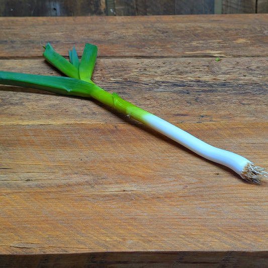 Ail nouveau jeune