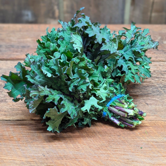 Chou kale rouge
