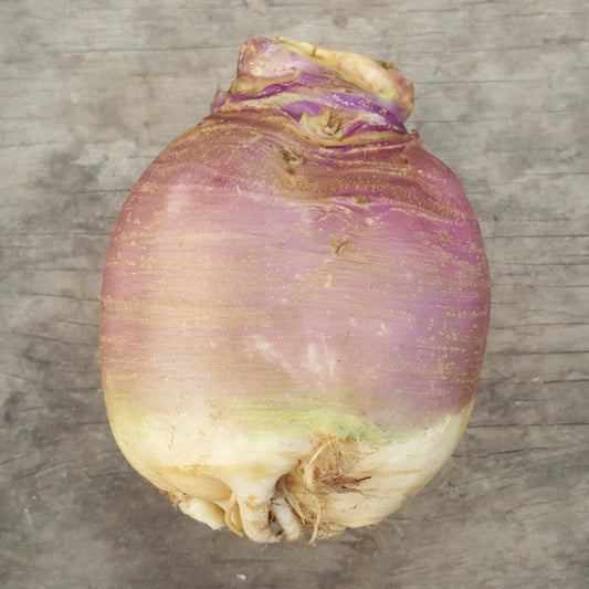 Rutabaga