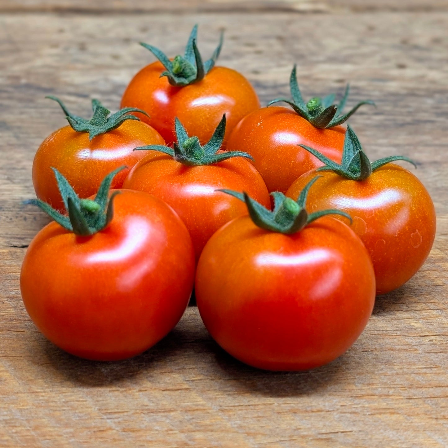 Tomate cocktail