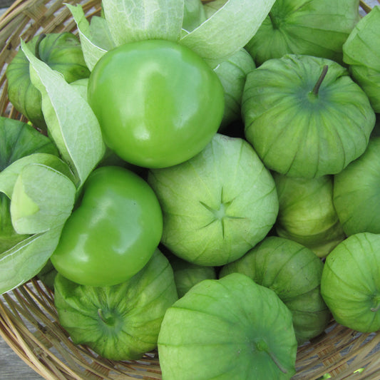 Tomatillo (1lb)